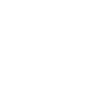 METAL BRACES